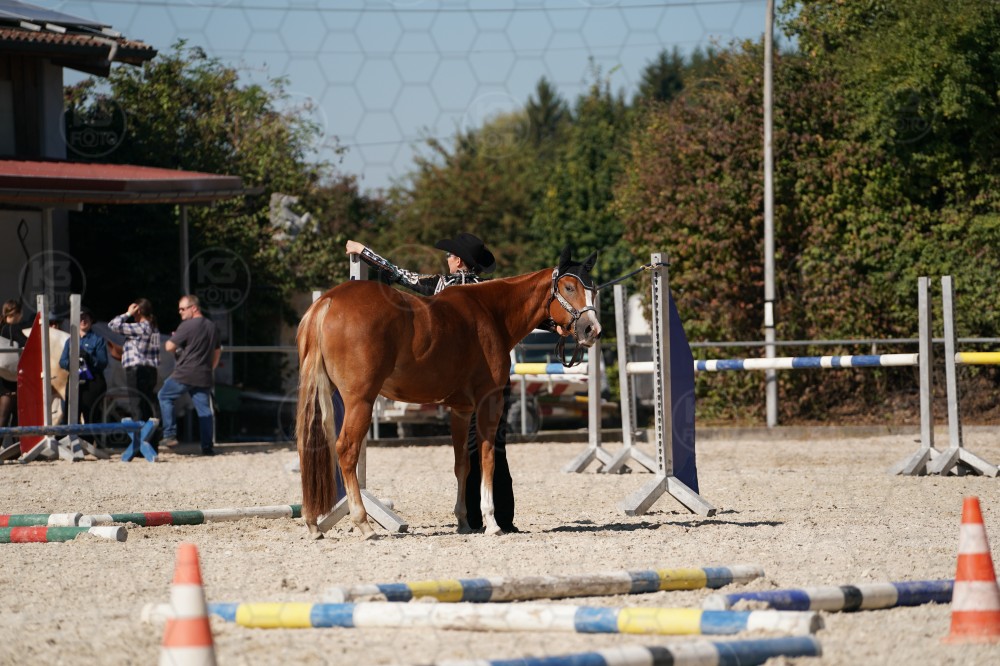s_A_907715.JPG